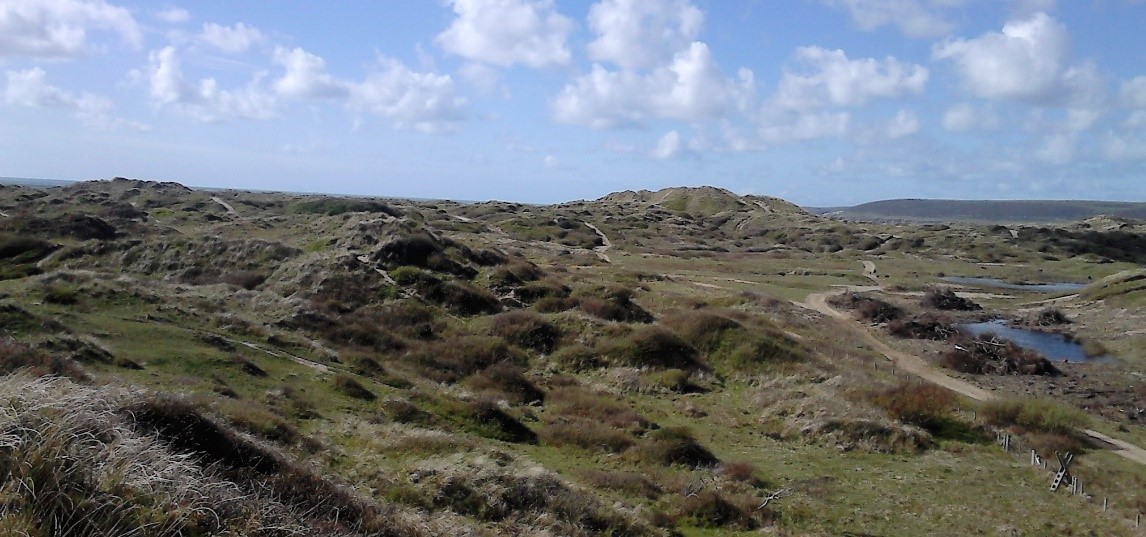 Braunton Burrows.  Photo credit:  Mark
Lockett (KERNO) 