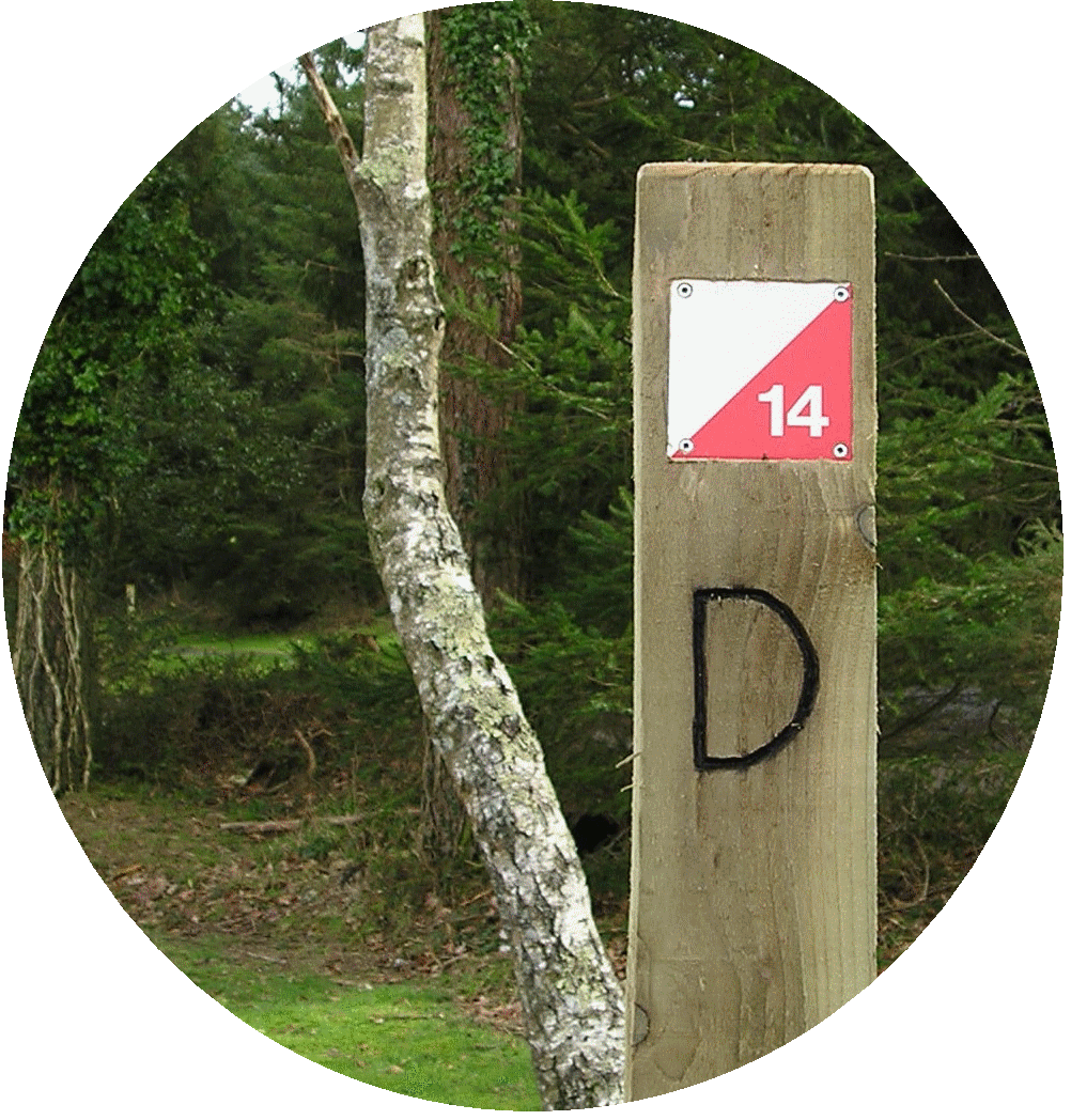 orienteering image