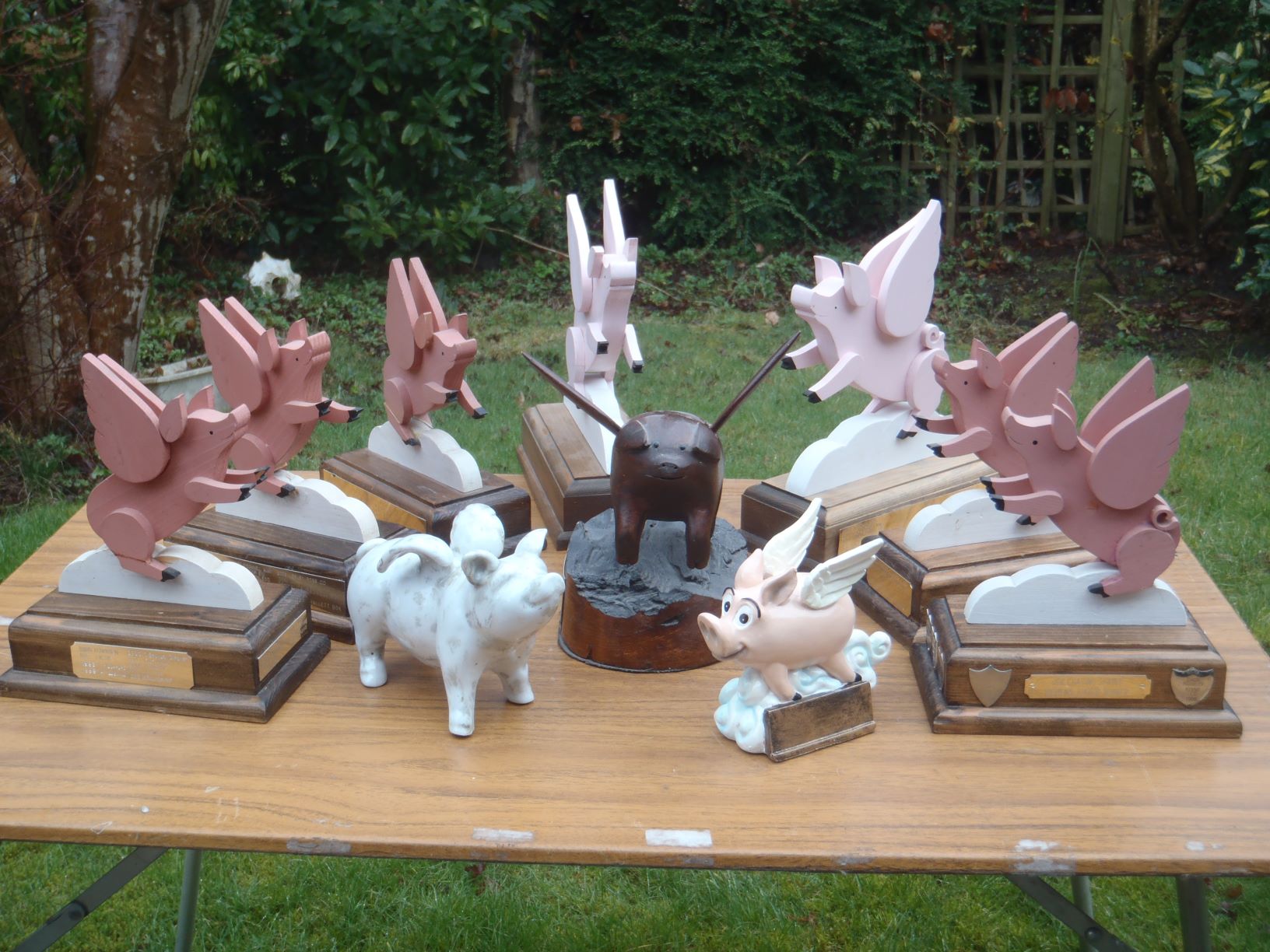 The famous flying pig trophies awaiting presentation at last
year's chasing sprint