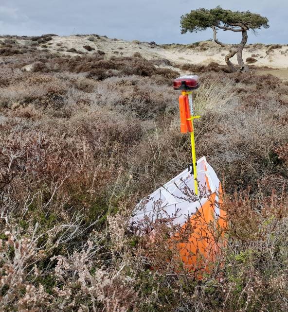 Orienteering Image