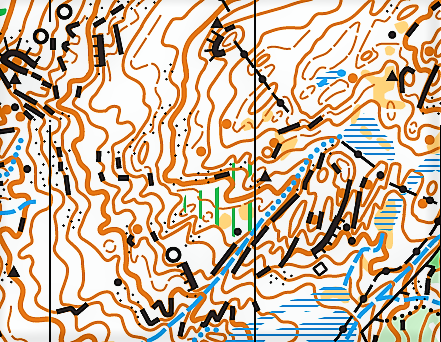 orienteering image