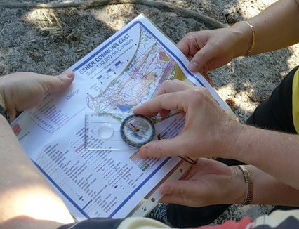 orienteering image