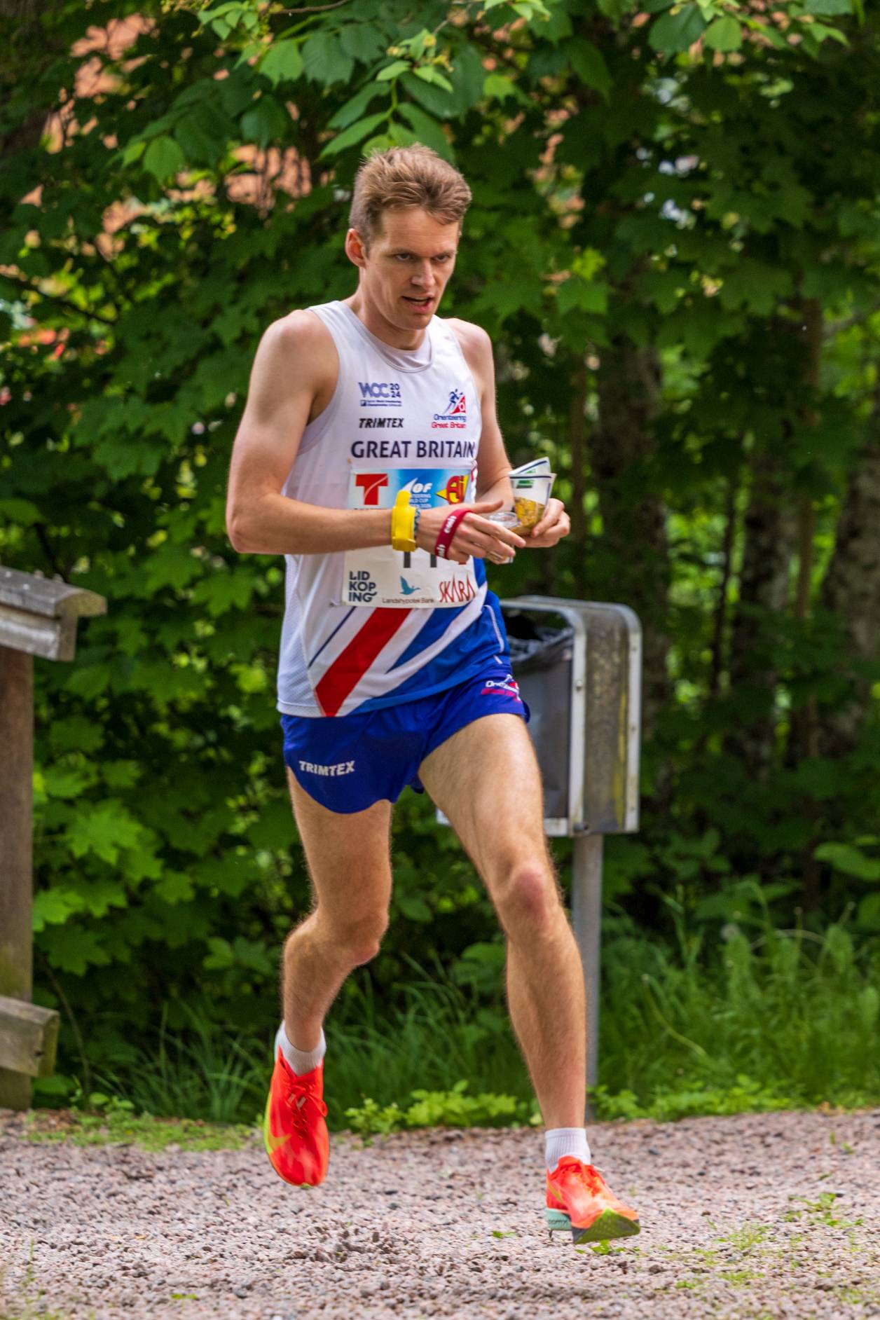 Orienteering Image