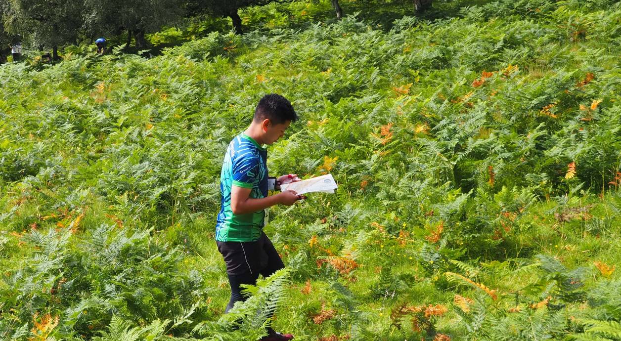 Somewhere in the bracken is a control. Photo credit: Colin Matheson (SOA)