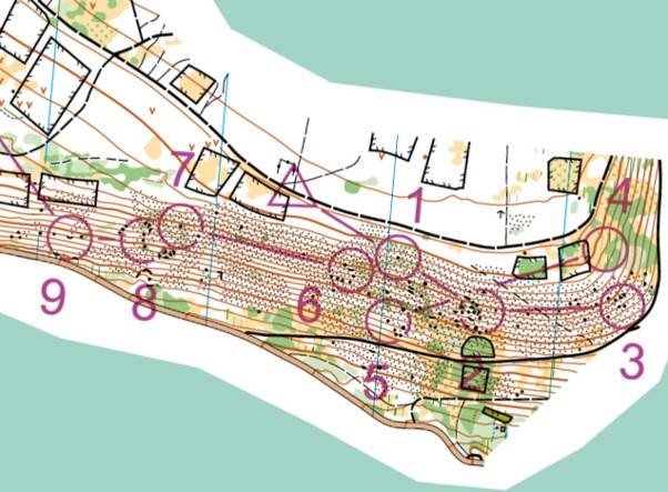 Orienteering Image