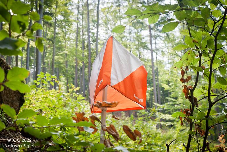 orienteering image