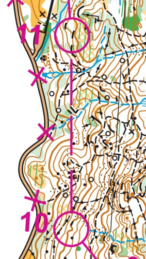 orienteering image