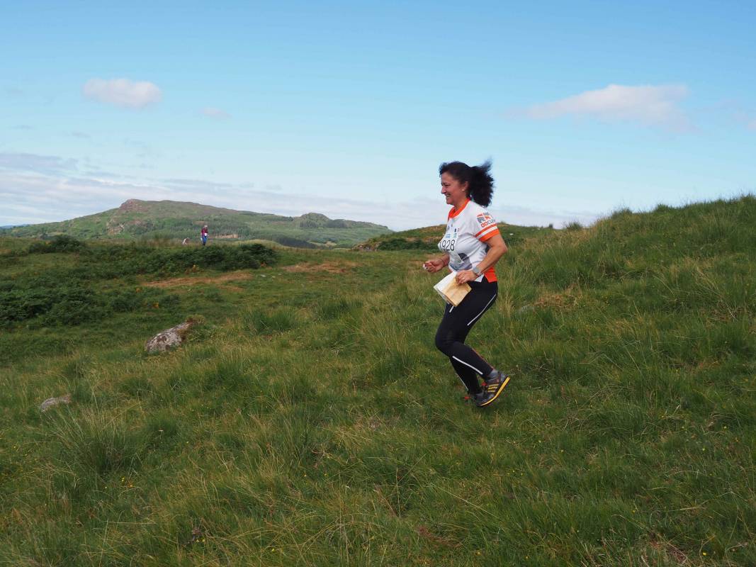 Open terrain at Ardchattan