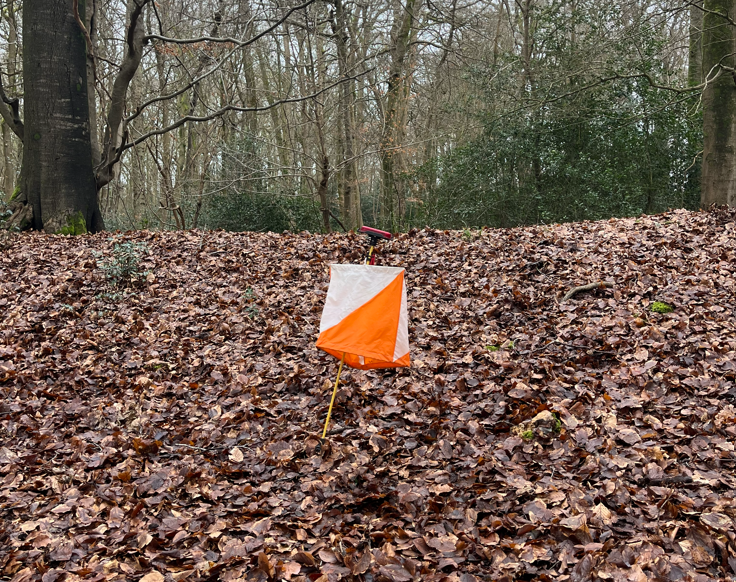 Orienteering Image