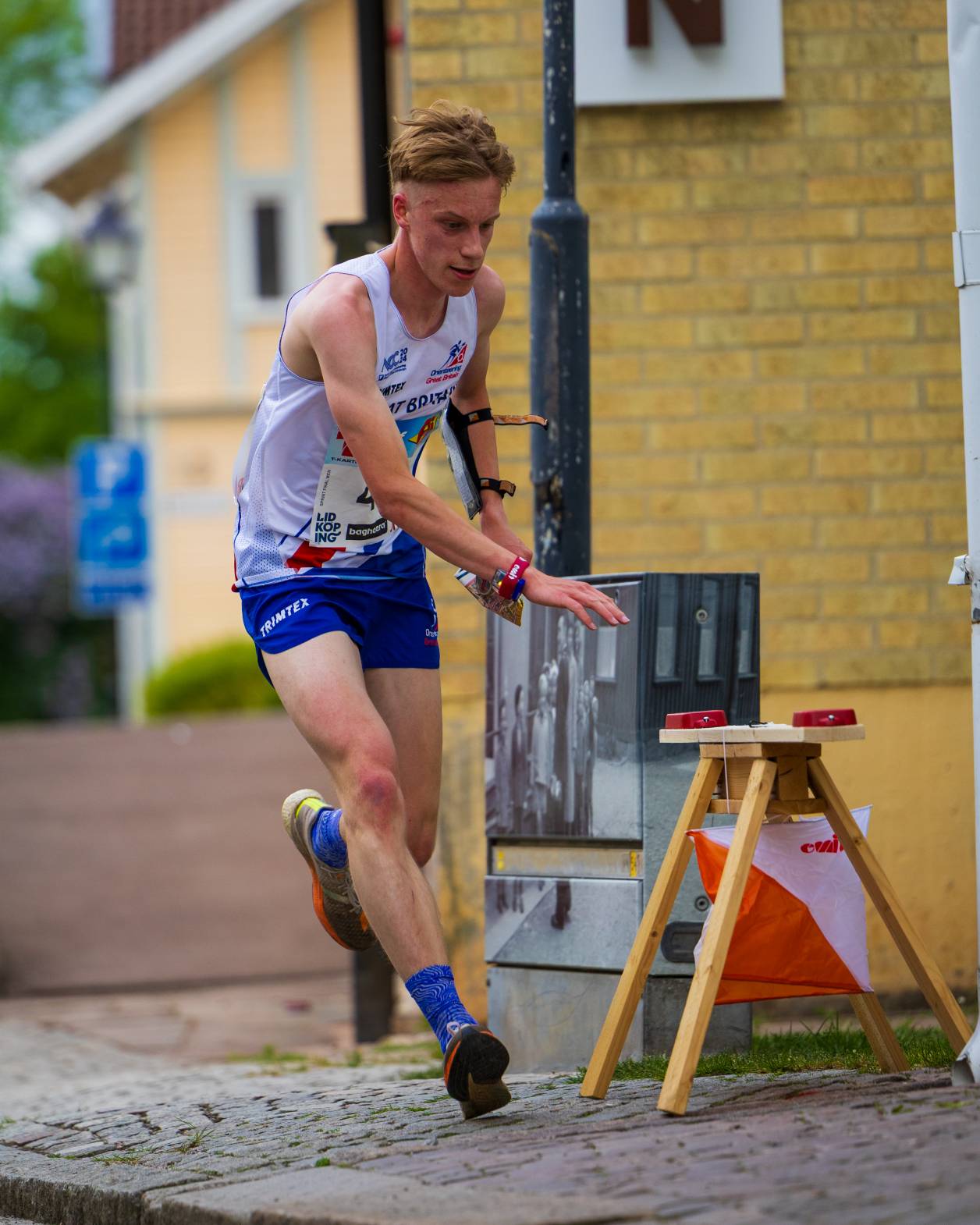 Orienteering Image