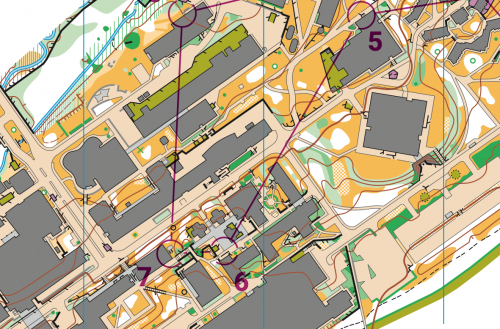 orienteering image