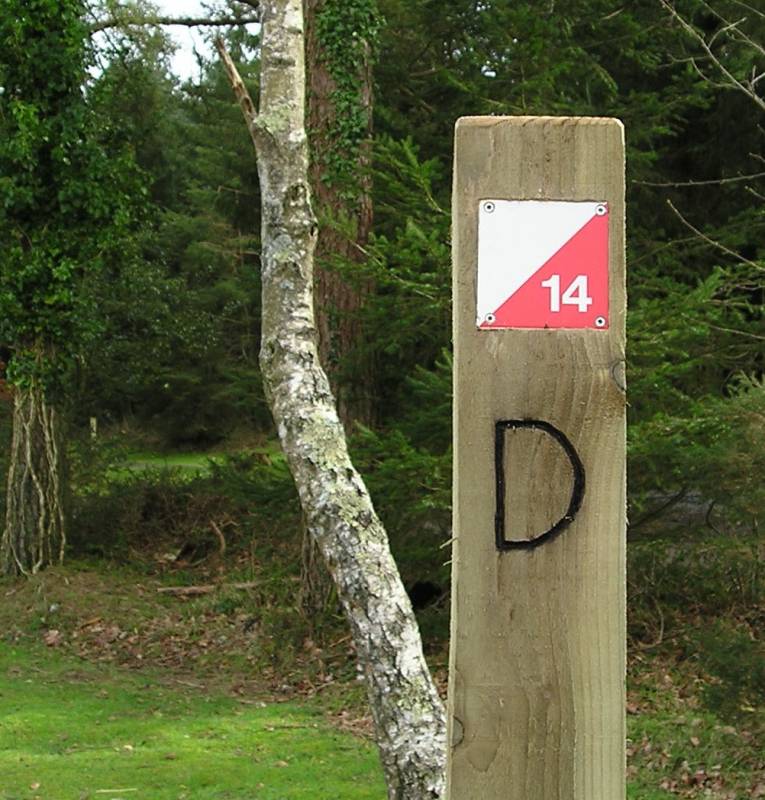 orienteering image