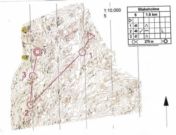 Orienteering Image