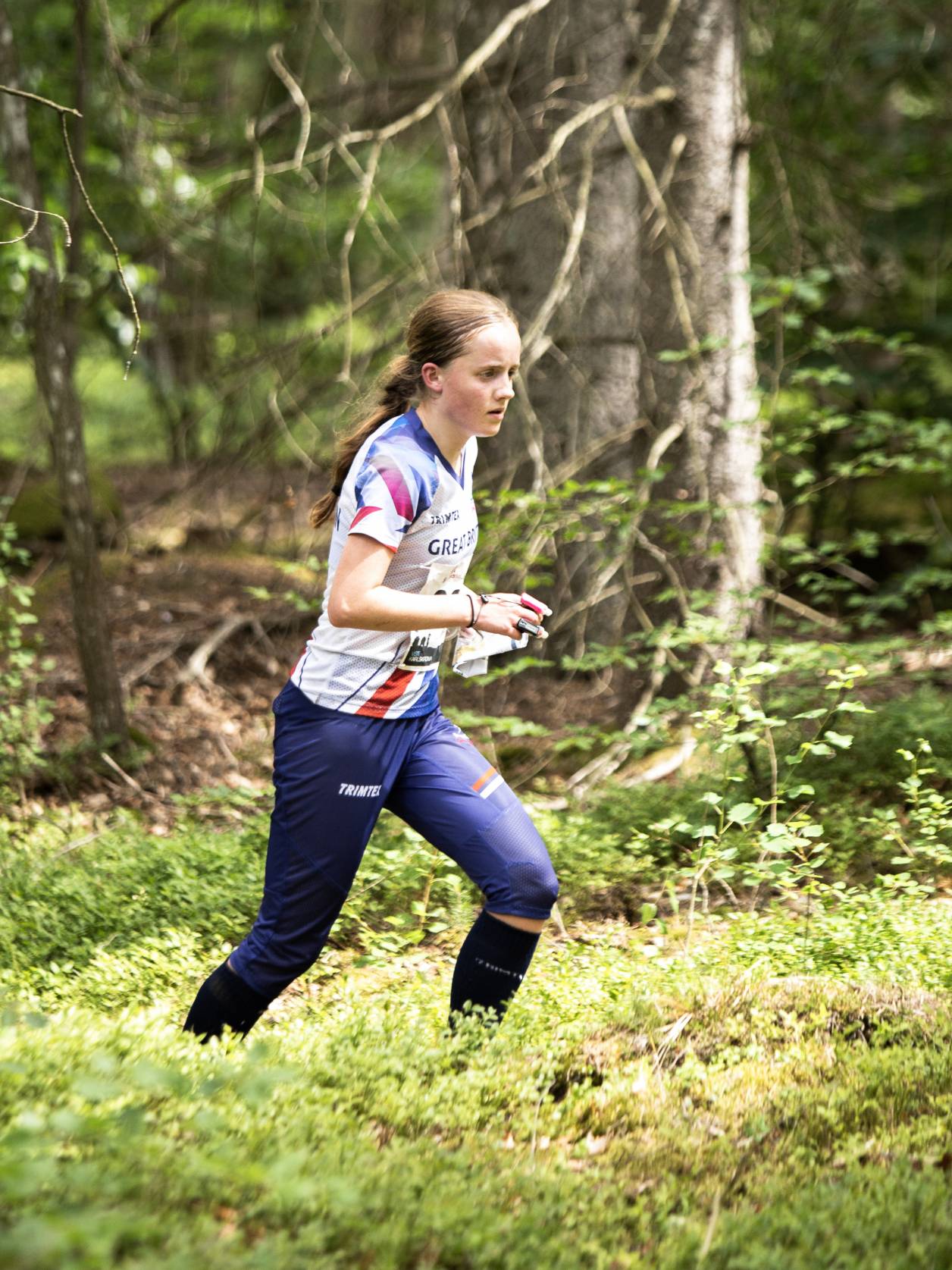 Orienteering Image