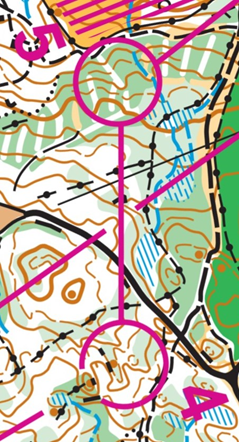 orienteering image