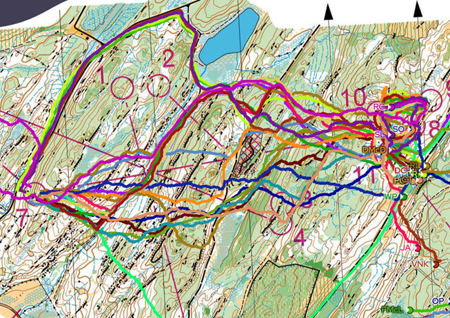 Orienteering Image