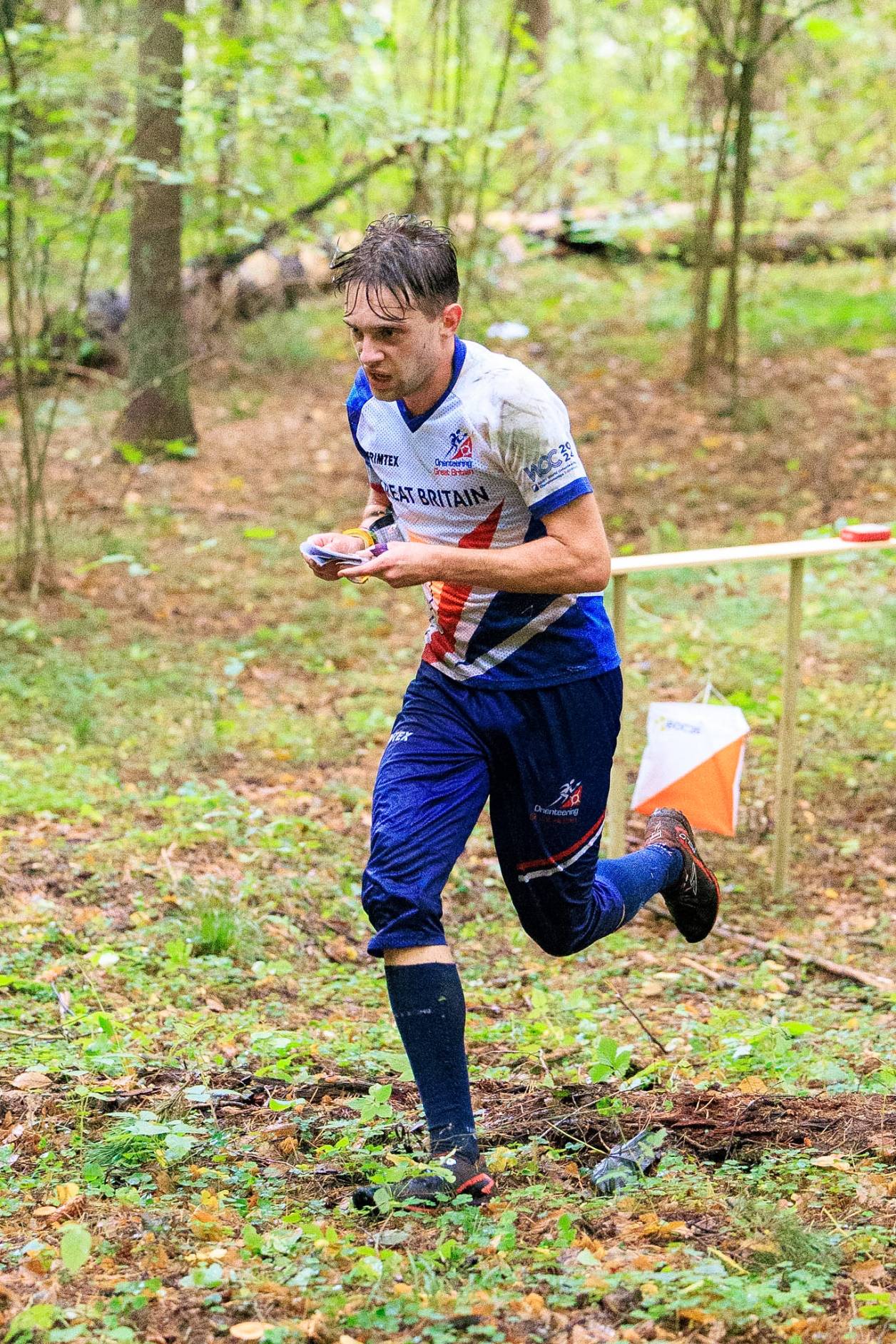 Orienteering Image