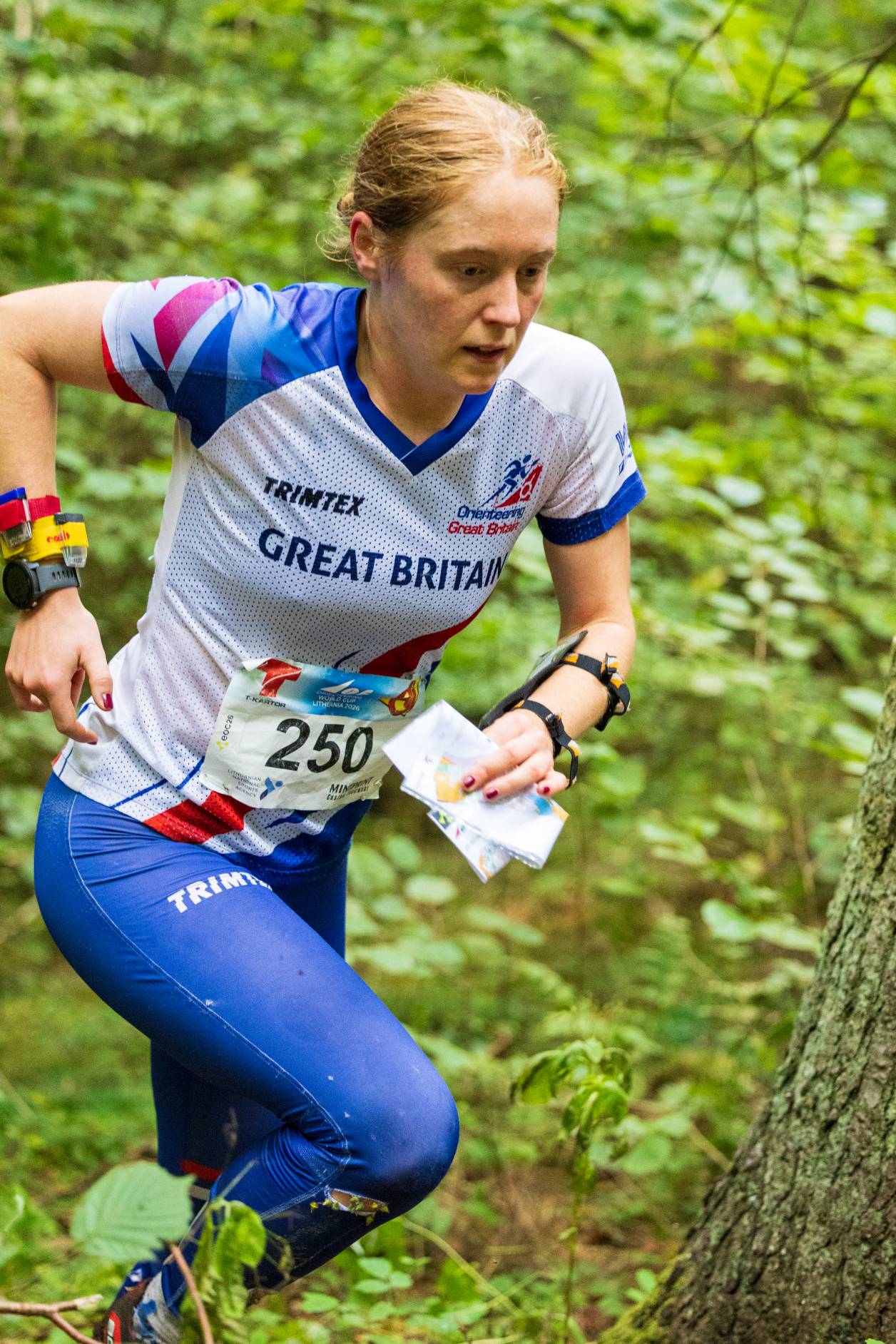 Orienteering Image