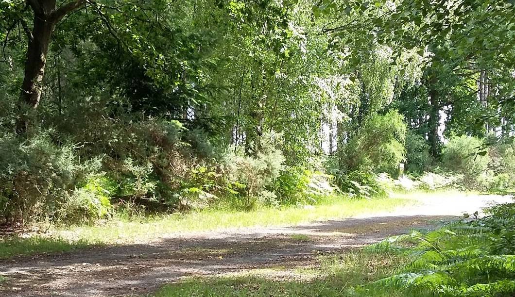 Can you spot the control in this photograph?