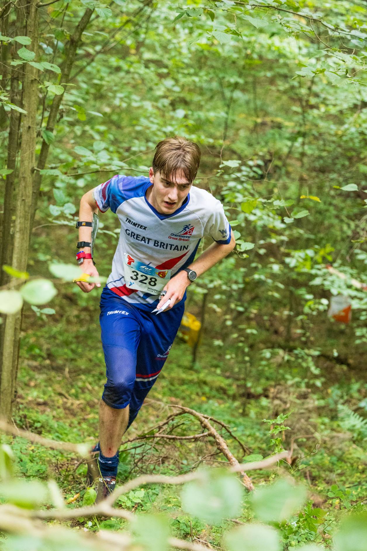 Orienteering Image