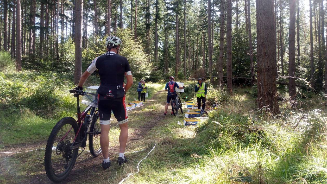 Orienteering Image