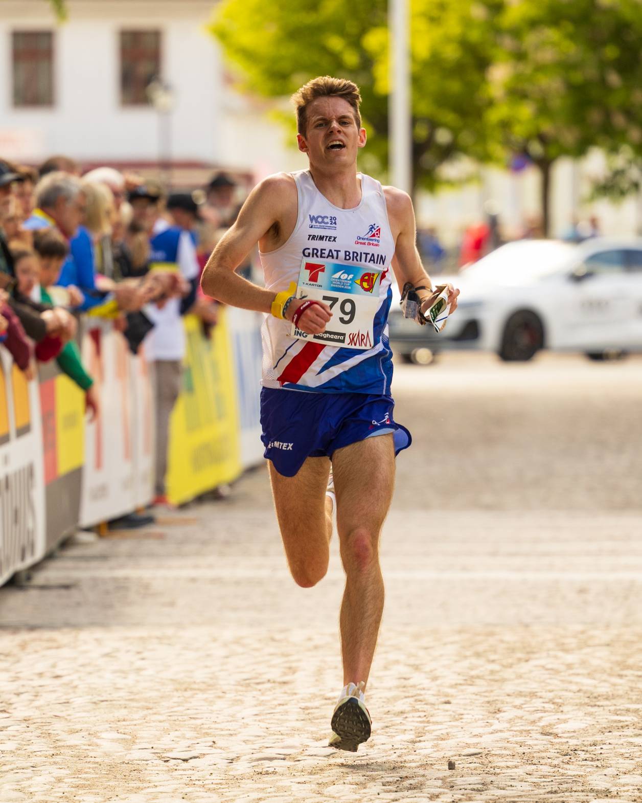 Orienteering Image