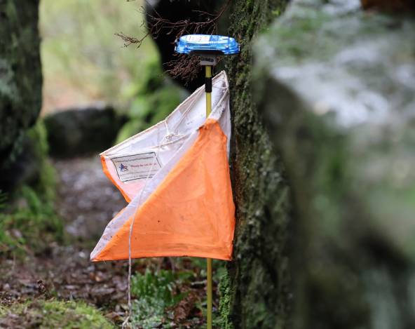 Orienteering Image