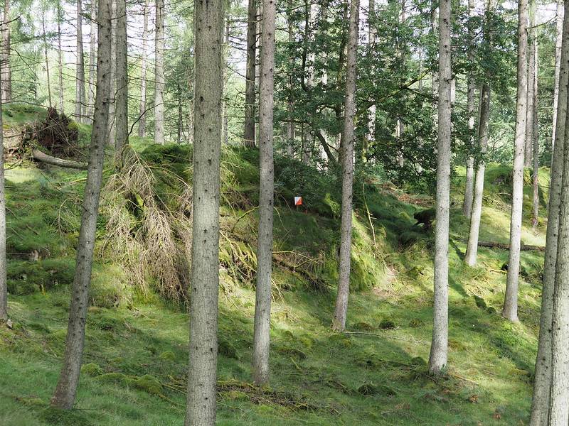 orienteering image