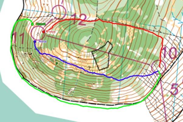 Orienteering Image