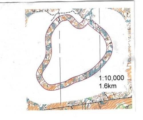 Orienteering Image
