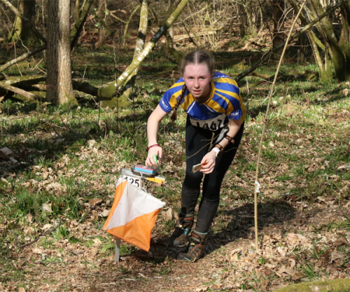 orienteering image