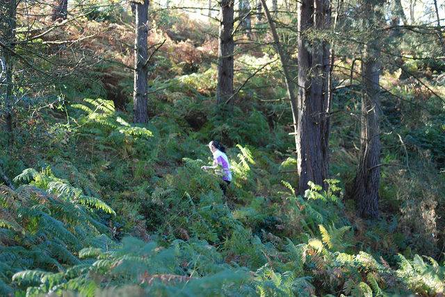 orienteering image
