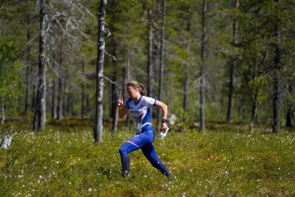 Orienteering Image