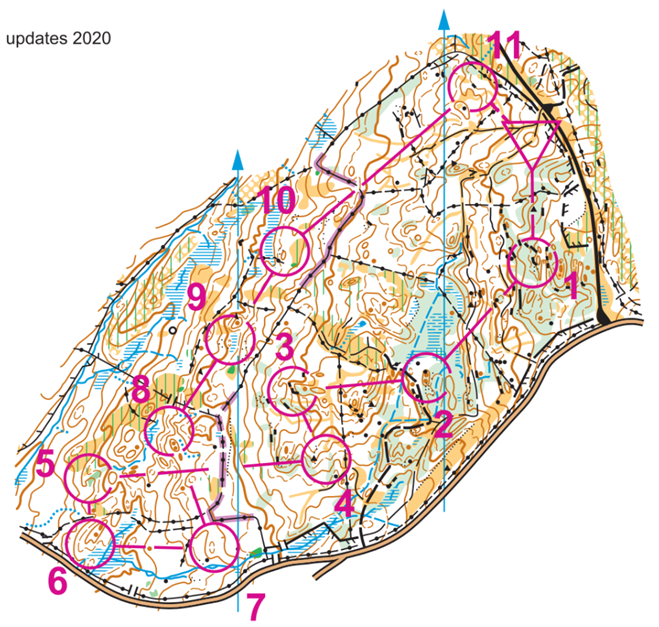 orienteering image