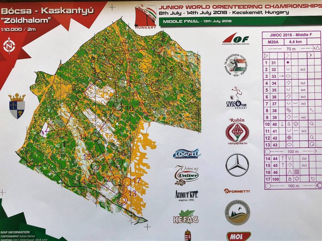orienteering image