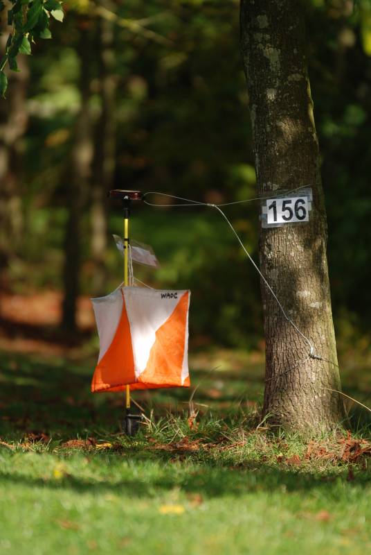 orienteering image