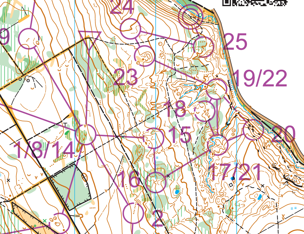 Orienteering Image