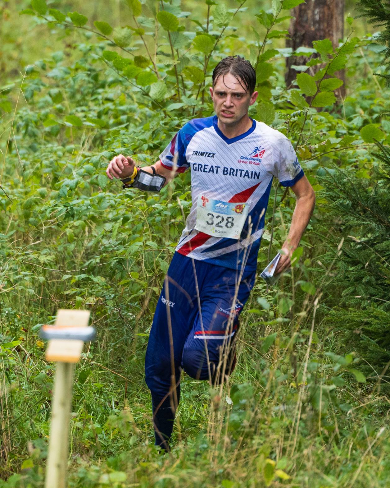 Orienteering Image