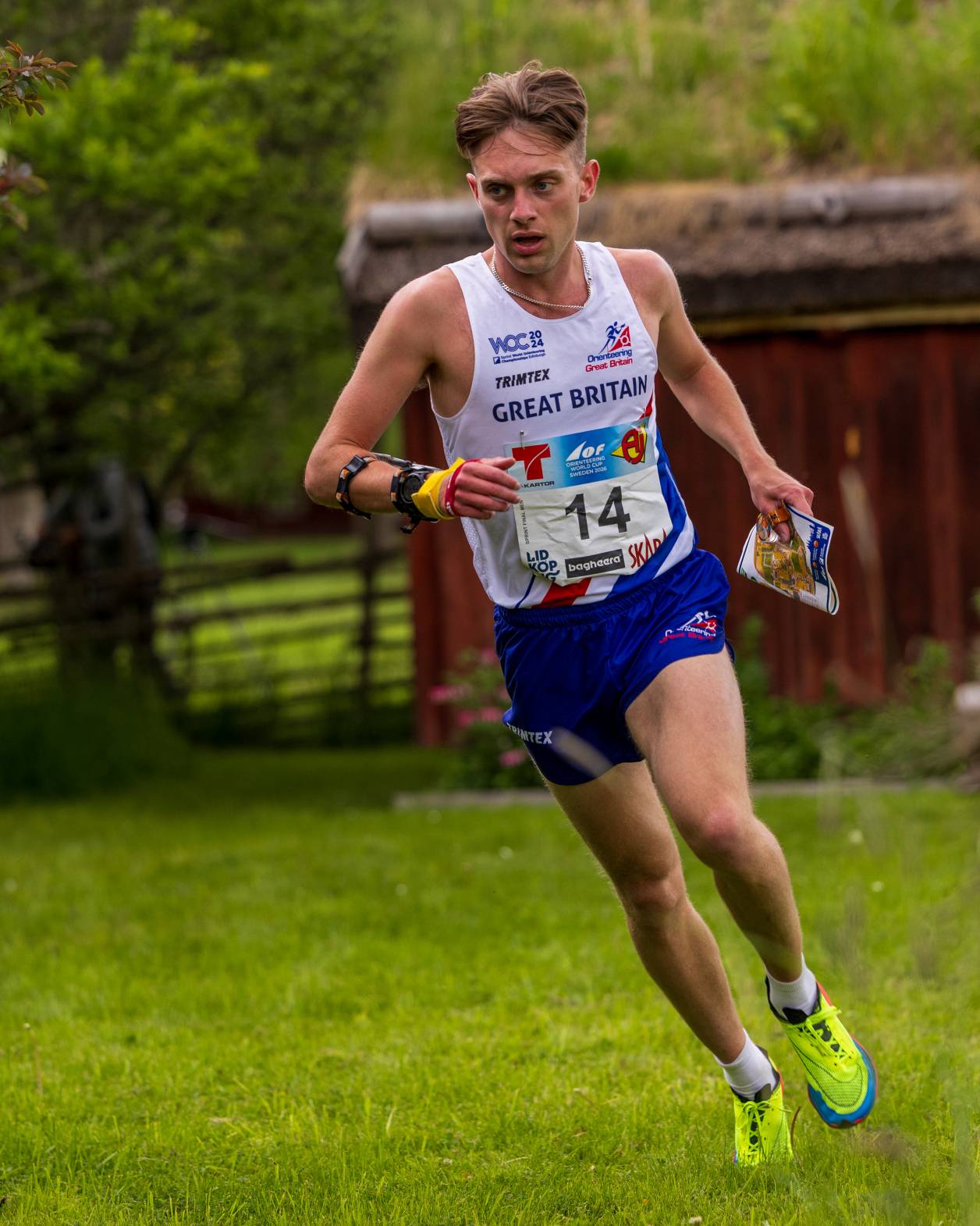 Orienteering Image