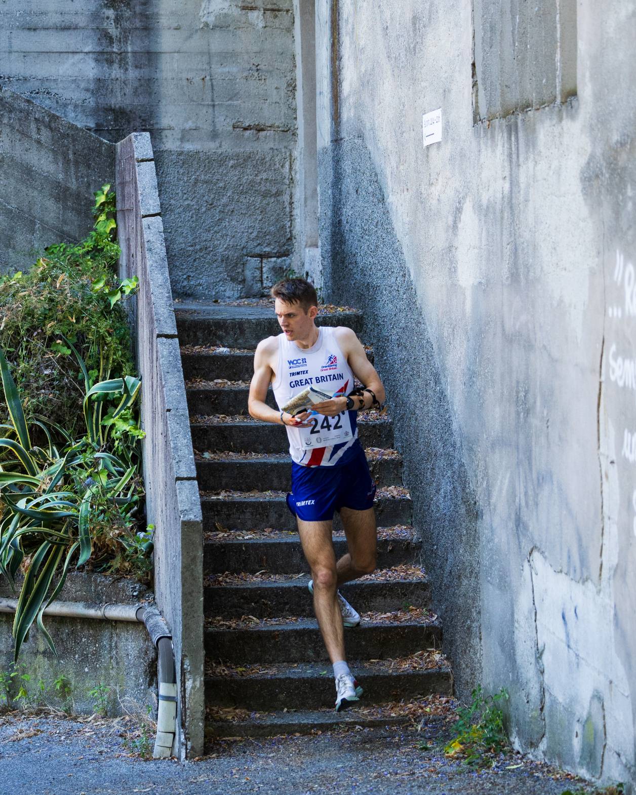 Orienteering Image
