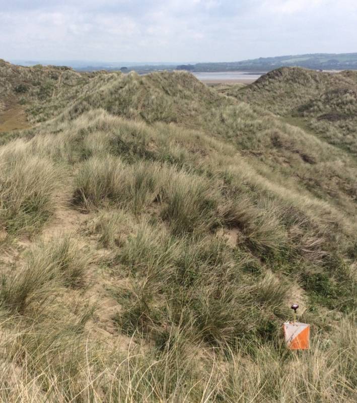 Braunton Burrows.  Photo credit:  Carol Pearce (Devon Orienteering Club)