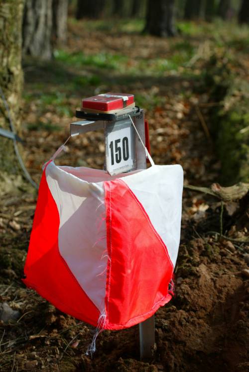 Finding 120 control flags