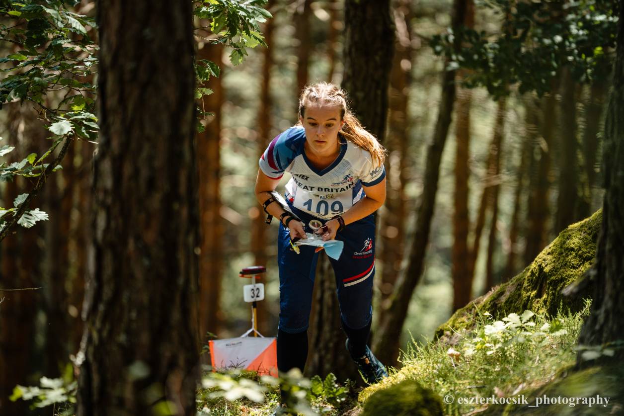 Orienteering Image