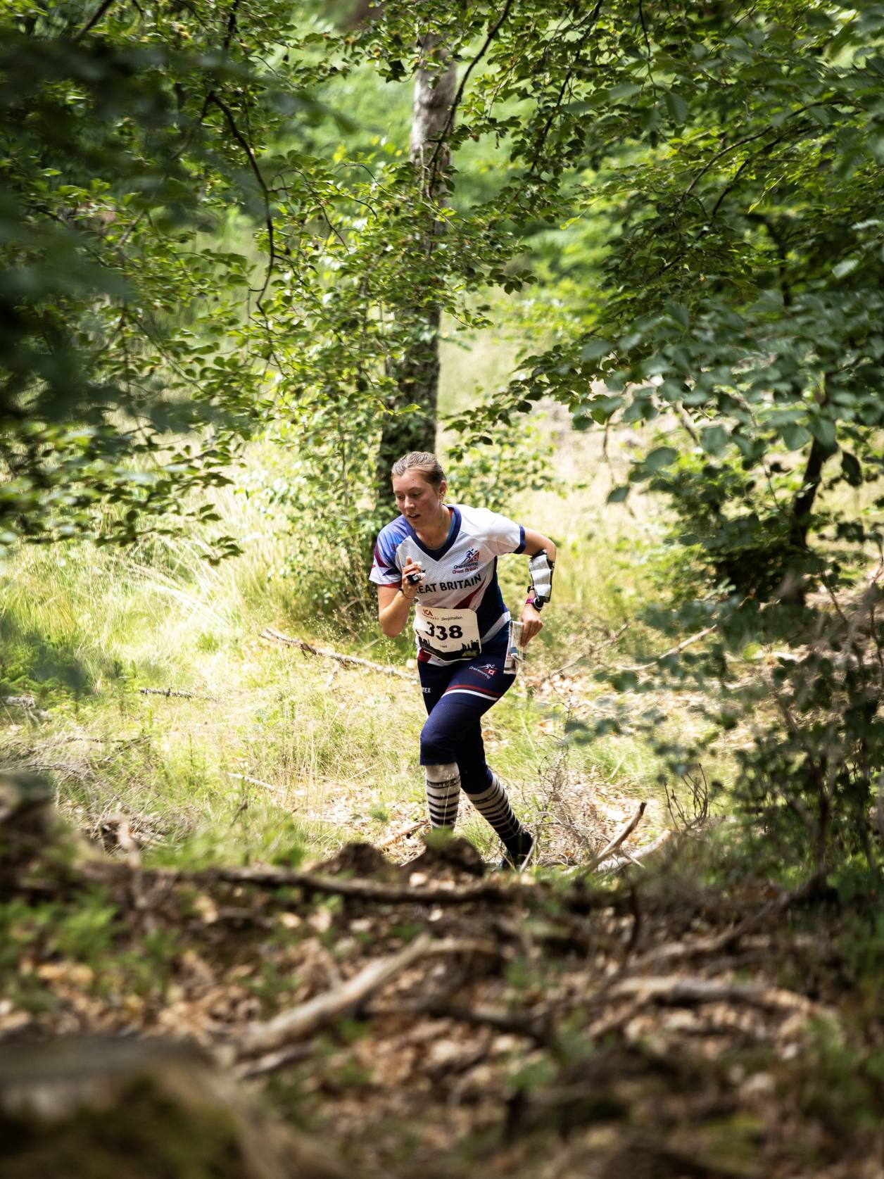 Orienteering Image