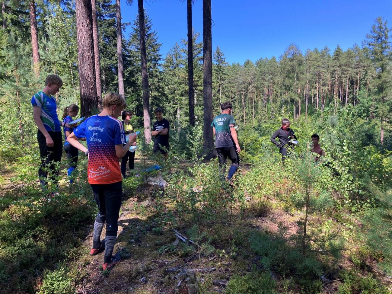Orienteering Image
