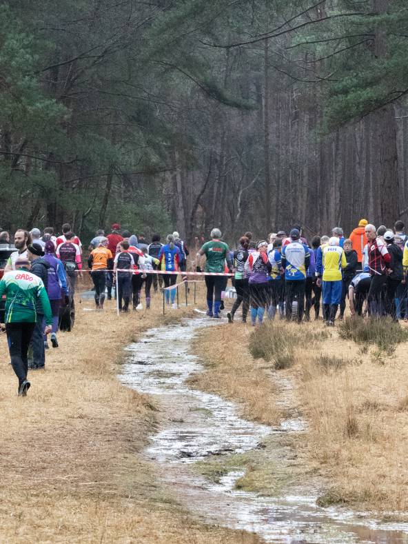 Orienteering Image