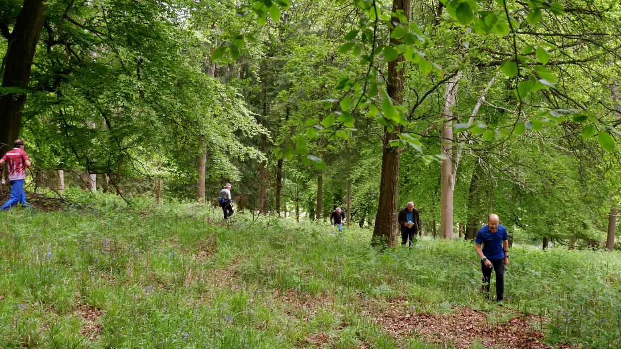 In the woods. Photo credit: Hannah Stafford
