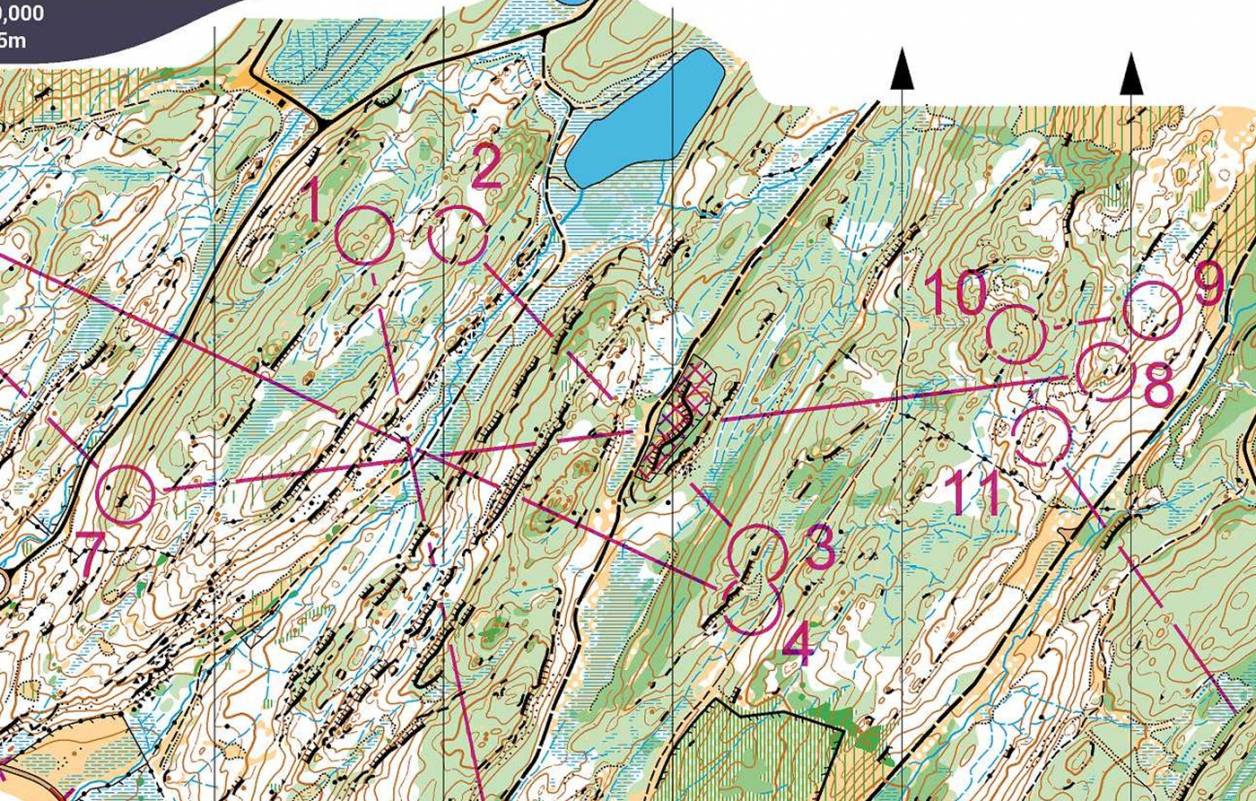 Orienteering Image
