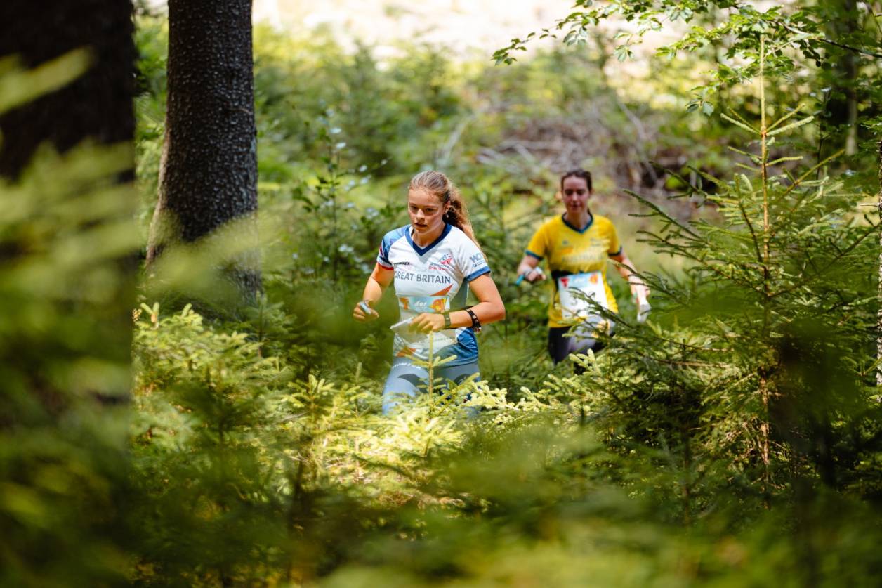 Orienteering Image
