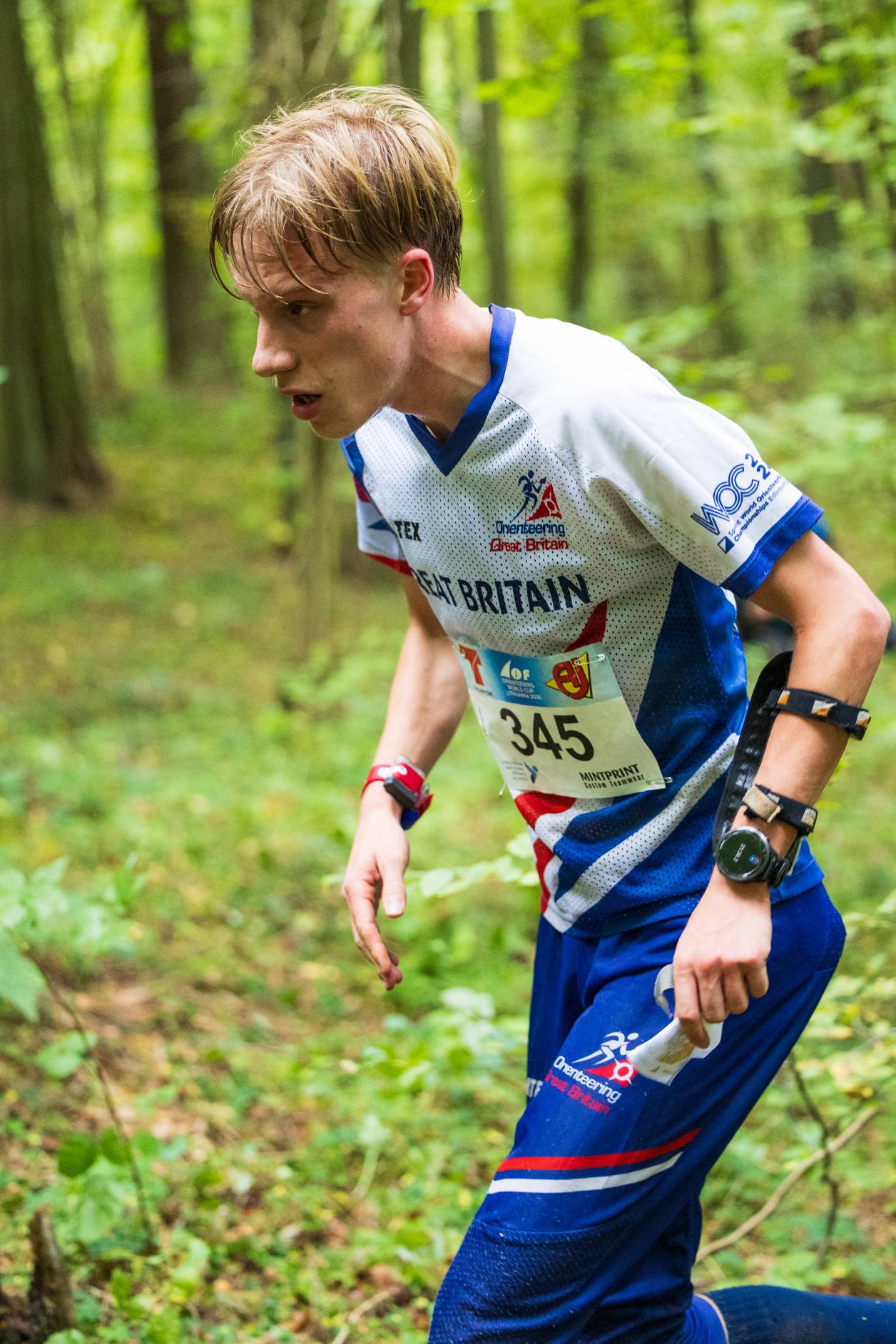 Orienteering Image